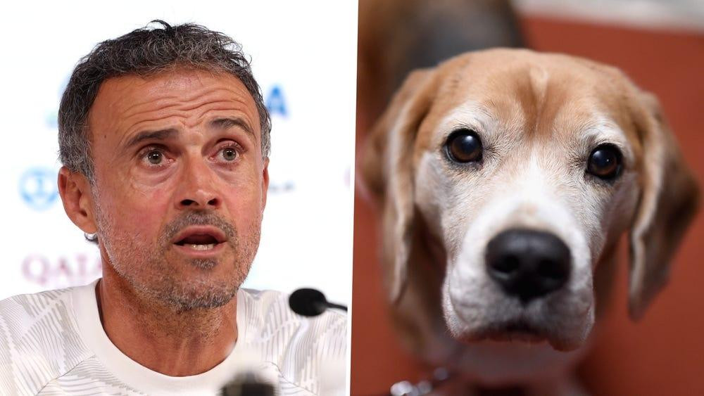 Enrique cho thấy quá nhiều mối bận tâm bên ngoài bóng đá