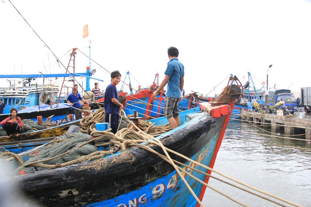 Theo BCH BĐBP Đà Nẵng, ngành chức năng thành phố trực tiếp thông báo, kêu gọi và hướng dẫn cho 123 phương tiện/ 1291 lao động hoạt động trên biển biết khả năng ảnh hưởng của bão để chủ động phòng tránh. Nhiều tàu hoạt động khu vực Hoàng Sa, đang di chuyển vào bờ Đà Nẵng