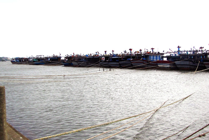 Tàu thuyền đánh bắt xa bờ về trú tránh bão tại âu thuyền xã Phú Thuận, huyện Phú Vang (TT-Huế) chiều 29/9. Ảnh: Ngọc Văn 