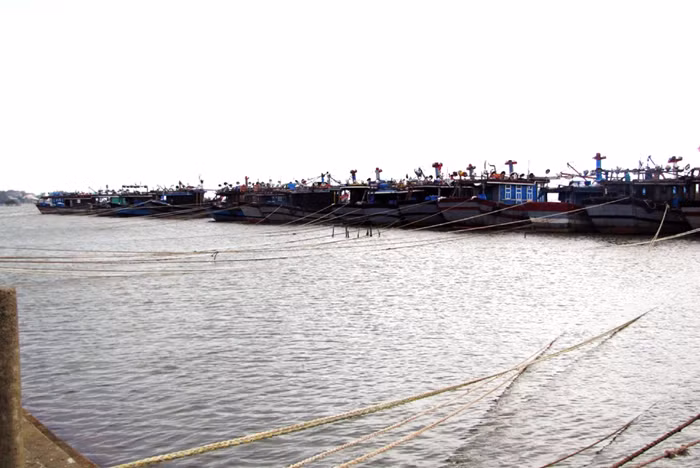 Tàu thuyền đánh bắt xa bờ về trú tránh bão tại âu thuyền xã Phú Thuận, huyện Phú Vang (TT-Huế) chiều 29/9. Ảnh: Ngọc Văn . Tàu thuyền đánh bắt xa bờ về trú tránh bão tại âu thuyền xã Phú Thuận, huyện Phú Vang (TT-Huế) chiều 29/9. Ảnh: Ngọc Văn