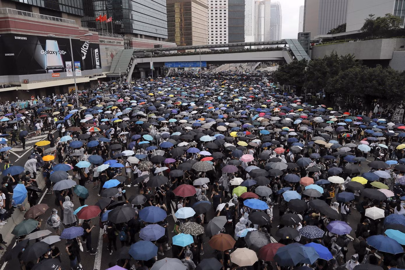 Biểu tình Hong Kong rơi vào thời điểm nhạy cảm ảnh 7 Biểu tình Hong Kong rơi vào thời điểm nhạy cảm ảnh 7
