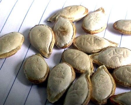 Những hạt bí được cho là chữ nho xuất hiện trên đó