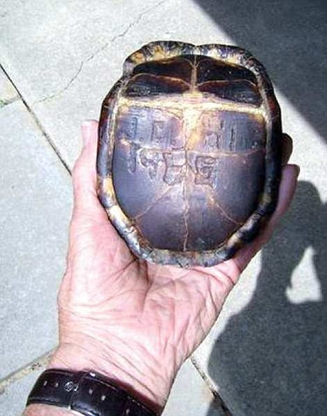 Có thể nhìn thấy rõ chữ 