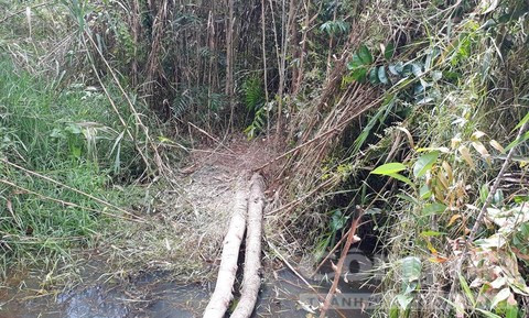 Lời khai của nghi can giết, giấu xác nữ sinh 13 tuổi ảnh 1