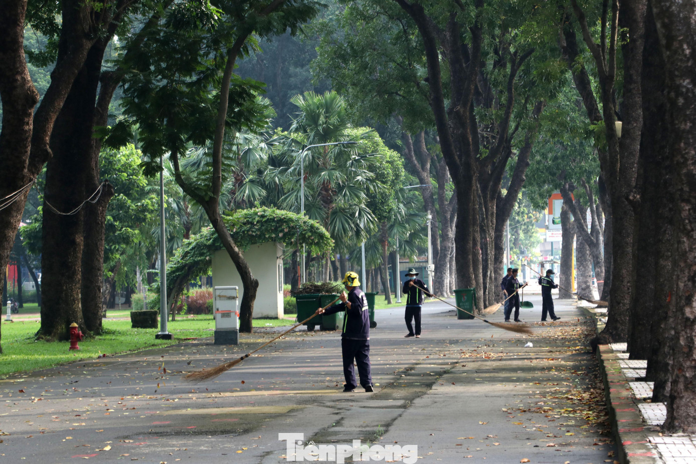 Lực lượng nhân viên vệ sinh cũng tổ chức quét dọn, thu gom rác thải, lá cây rụng dày trên đường.