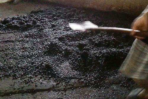 Trộn xong màu, đậu nành được đổ ra nền đất. Ảnh: Hoài Nam (Thanh Niên). Trộn xong màu, đậu nành được đổ ra nền đất. Ảnh: Hoài Nam(Thanh Niên)