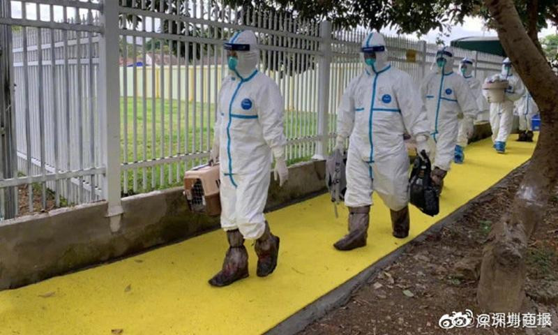 Thú cưng được đưa đến trung tâm chăm sóc ở Thâm Quyến. Ảnh: Weibo Thú cưng được đưa đến trung tâm chăm sóc ở Thâm Quyến. Ảnh: Weibo