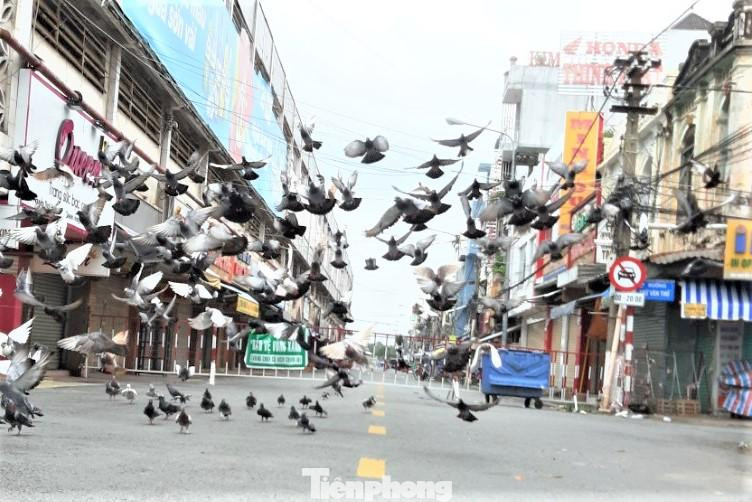 Nhiều khu chợ lớn Bình Dương vẫn chưa mở cửa