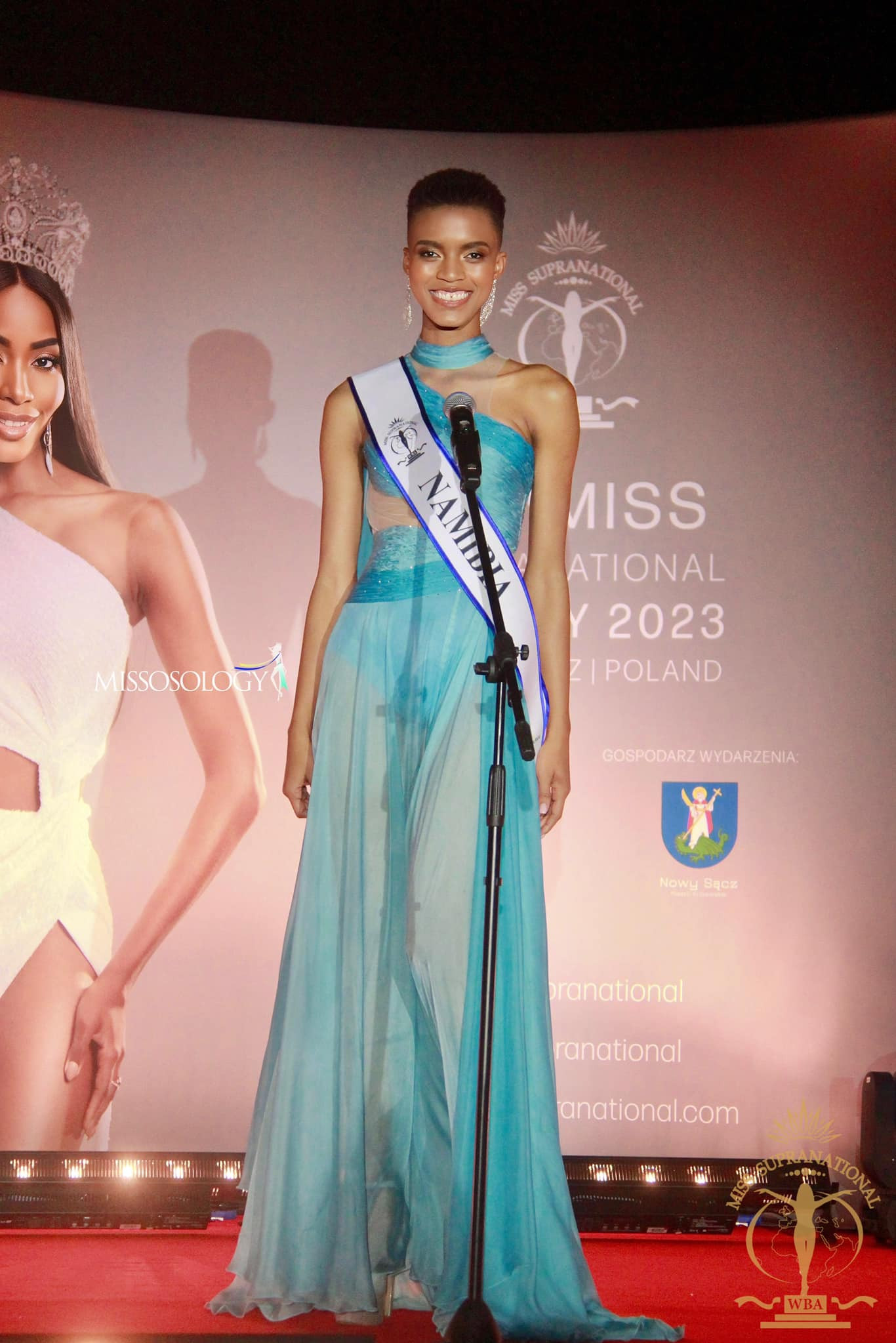 Các thí sinh đến từ châu Phi ít nổi bật ở cuộc thi năm nay. Hai đại diện đang được đánh giá cao nhất là Nam Phi và Namibia.