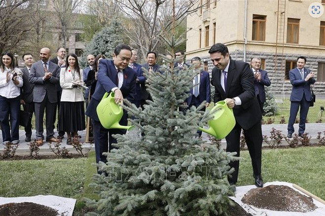 Chủ tịch Quốc hội Trần Thanh Mẫn và Chủ tịch Quốc hội Armenia Alen Simonyan trồng cây lưu niệm. (Ảnh: TTXVN)