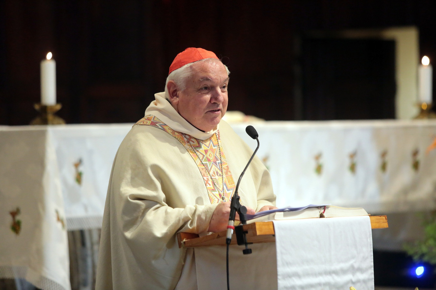 Tổng giám mục Marseille Jean-Marc Aveline. Tổng giám mục Marseille Jean-Marc Aveline.