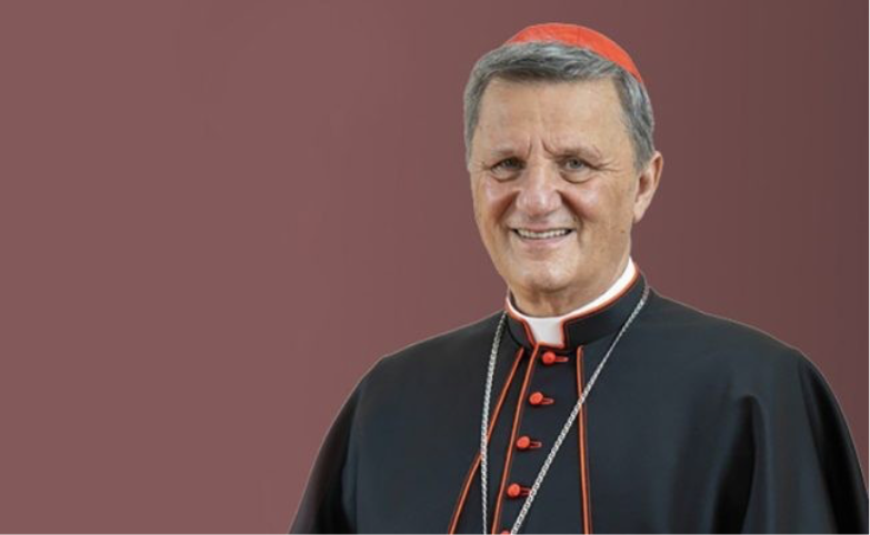 Hồng y Mario Grech. Hồng y Mario Grech.