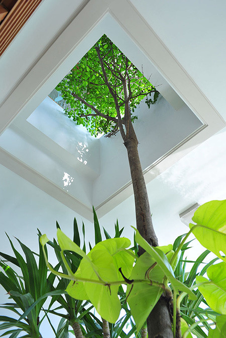 Nhà phố 1 tầng 1 tum tuyệt đẹp chi phí chỉ 700 triệu đồng ảnh 6