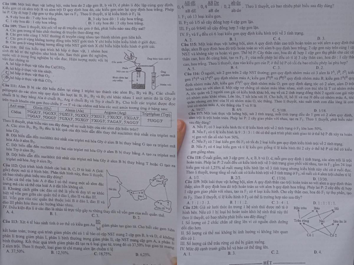 Đề thi môn Sinh học, bài thi tổ hợp Khoa học tự nhiên.