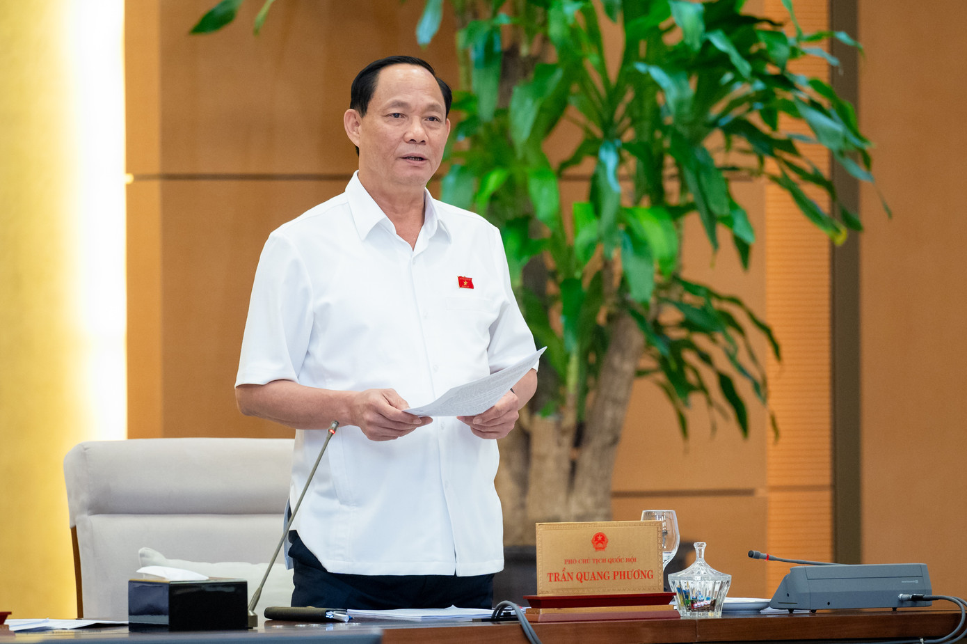 Phó Chủ tịch Quốc hội Trần Quang Phương