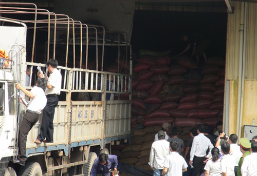 Xe tải loại lớn của OCB cùng hàng chục bốc xếp tham gia bốc dỡ 3.360 tấn cà phê. Ảnh: Nguyệt Triều. Xe tải loại lớn của OCB cùng hàng chục bốc xếp tham gia bốc dỡ 3.360 tấn cà phê. Ảnh: Nguyệt Triều