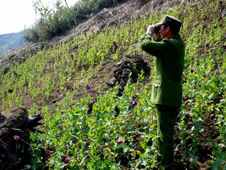 Những trinh sát quan sát tình hình trước những lần bắt tội phạm
