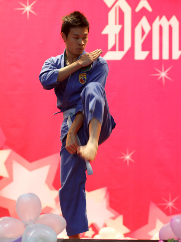 Biểu diễn võ thuật Vovina