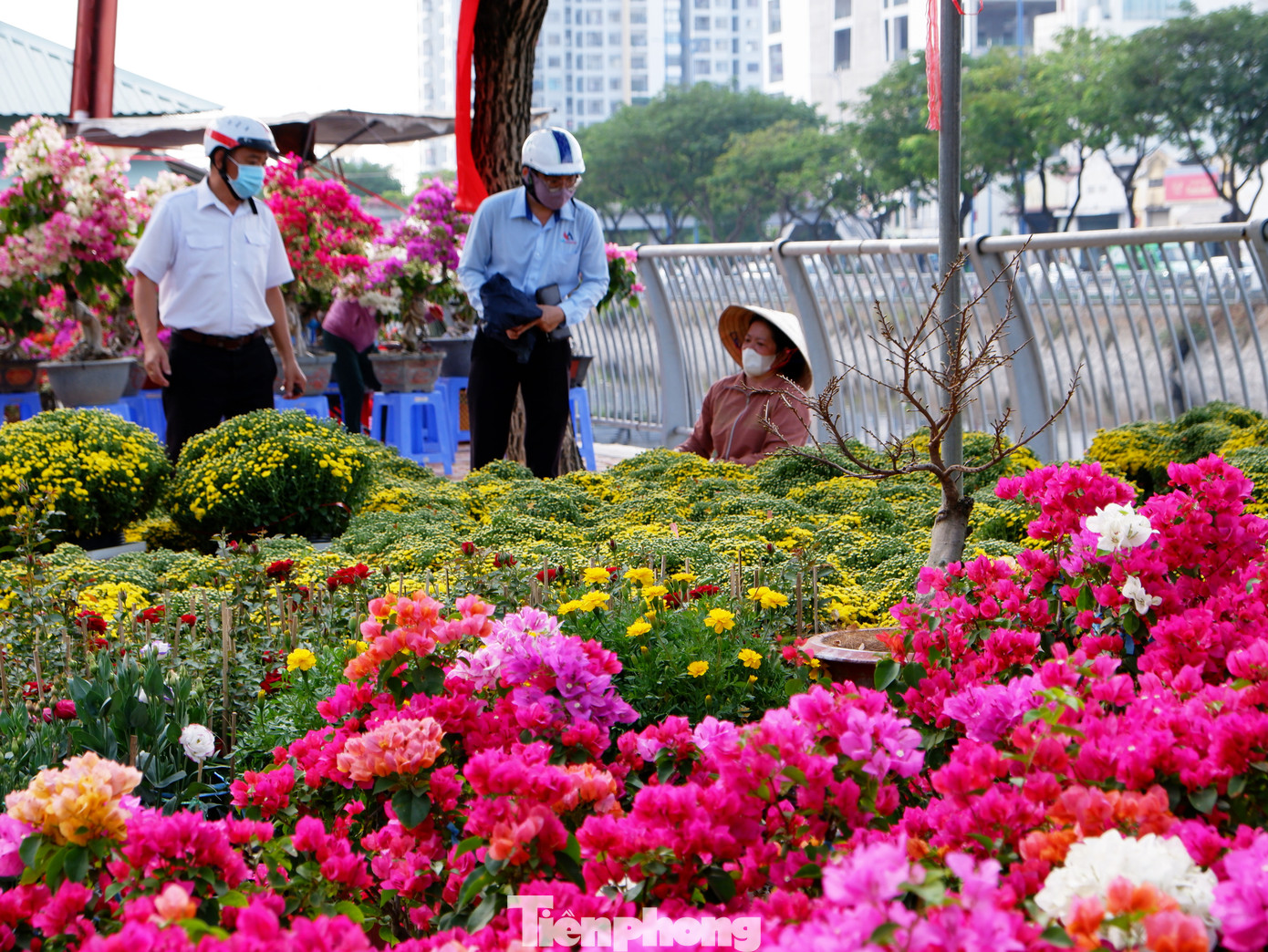 Ở trên bờ, những chậu hoa giấy, cúc vạn thọ, cúc mâm xôi,... rực rỡ sắc màu được trưng bày gọn gàng, bắt mắt, thu hút người dân đến tham quan, mua sắm.