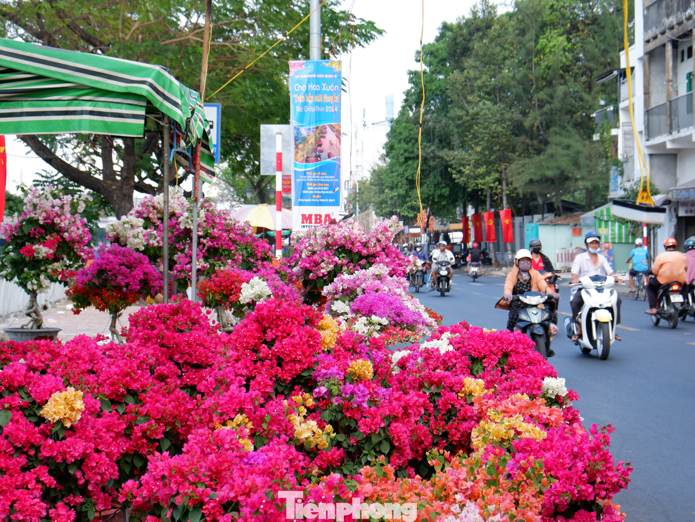 Theo ghi nhận của PV, những ngày qua, tuyến đường Bến Bình Đông (quận 8), ven kênh Tàu Hủ - Bến Nghé đã bắt đầu rực rỡ sắc hoa xuân.