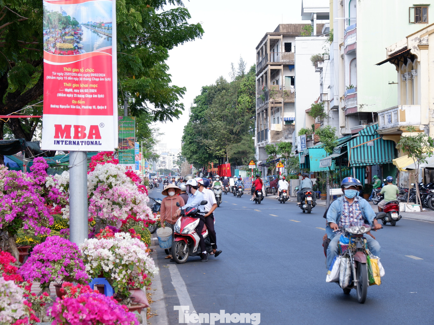 Theo UBND quận 8, chợ hoa xuân “Trên bến dưới thuyền” Bến Bình Đông là một trong 19 sự kiện văn hóa, nghệ thuật, lễ hội tiêu biểu thường niên tại TPHCM. Năm nay, chợ hoa dự kiến có quy mô gồm 654 điểm kinh doanh, trong đó có 50 điểm kinh doanh trái cây, rau, củ quả và 604 điểm kinh doanh hoa, cây kiểng với nhiều chủng loại đa dạng, phục vụ nhu cầu mua sắm ngày Tết…