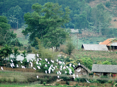 Bản Dõn, xã Minh Thanh, Sơn Dương, Tuyên Quang nơi báo Tiền Phong ra số đầu tiên. Ảnh: Hồng Vĩnh