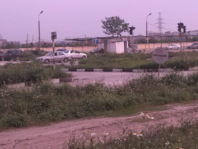 Một bãi tập xe ở Hà Nội, cỏ mọc hoang, biển báo tạm bợ. Ảnh: Thành Vinh