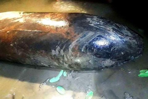 Bản tin 8H: Ô tô tăng ga bỏ chạy, quỵt 600 nghìn tiền đổ xăng ảnh 1