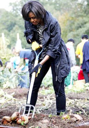 Miệt mài thu hoạch. Miệt mài thu hoạch