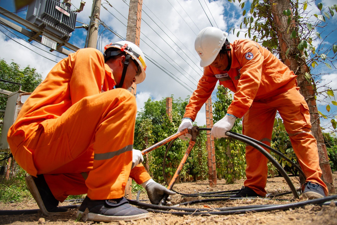 Trong các ngày cao điểm nắng nóng, các Công ty Điện lực không ngừng, giảm cung cấp điện làm mất điện khách hàng, trừ trường hợp phải xử lý sự cố. Trong các ngày cao điểm nắng nóng, các Công ty Điện lực không ngừng, giảm cung cấp điện làm mất điện khách hàng, trừ trường hợp phải xử lý sự cố.