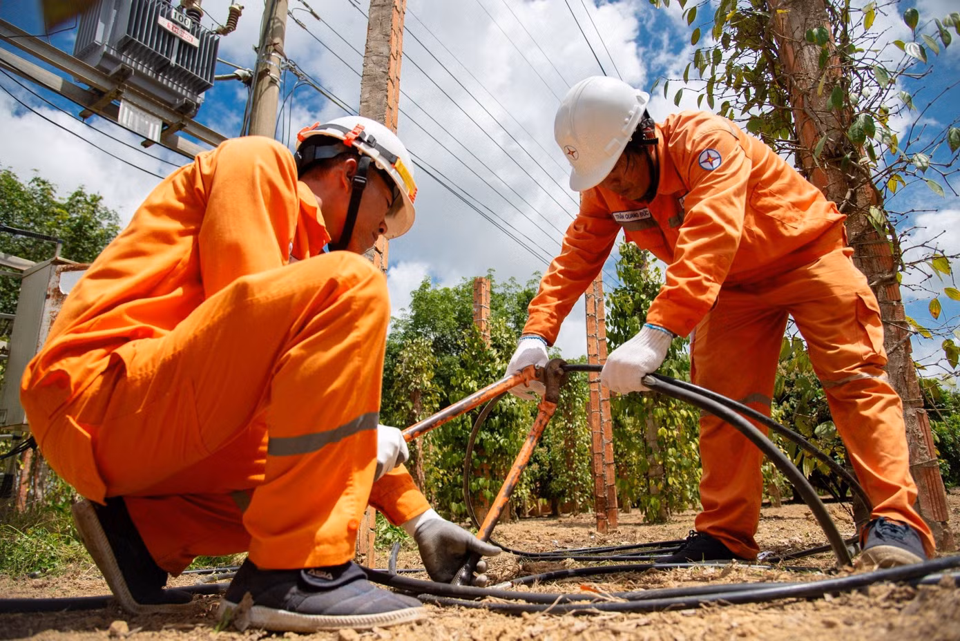 Trong các ngày cao điểm nắng nóng, các Công ty Điện lực không ngừng, giảm cung cấp điện làm mất điện khách hàng, trừ trường hợp phải xử lý sự cố.