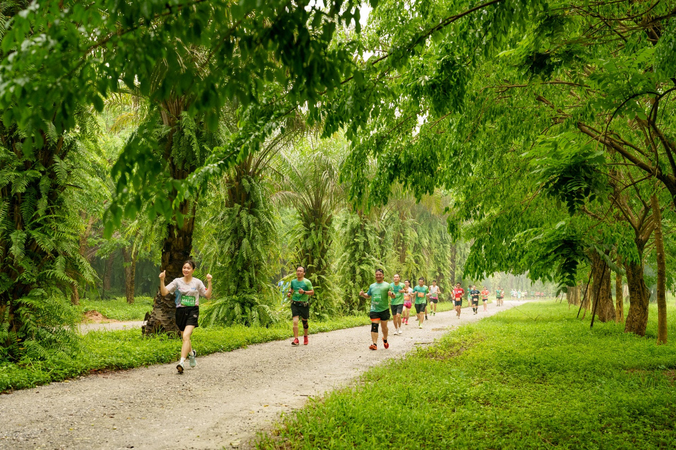 Chạy giữa miền xanh Ecopark