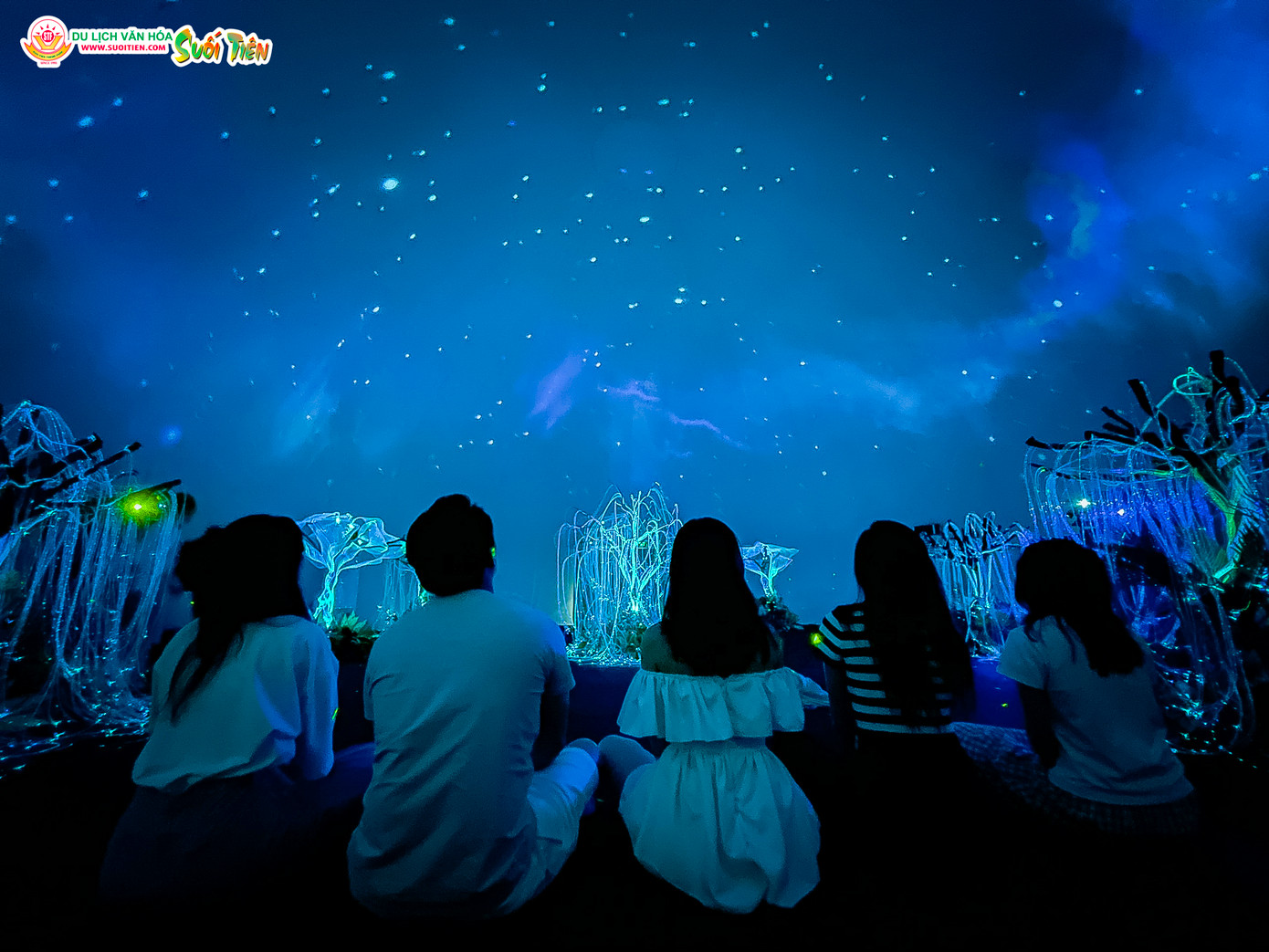 Tinh Tú Thiên Hà - The Nebula chính thức mở cửa phục vụ du khách từ tháng 4/2024