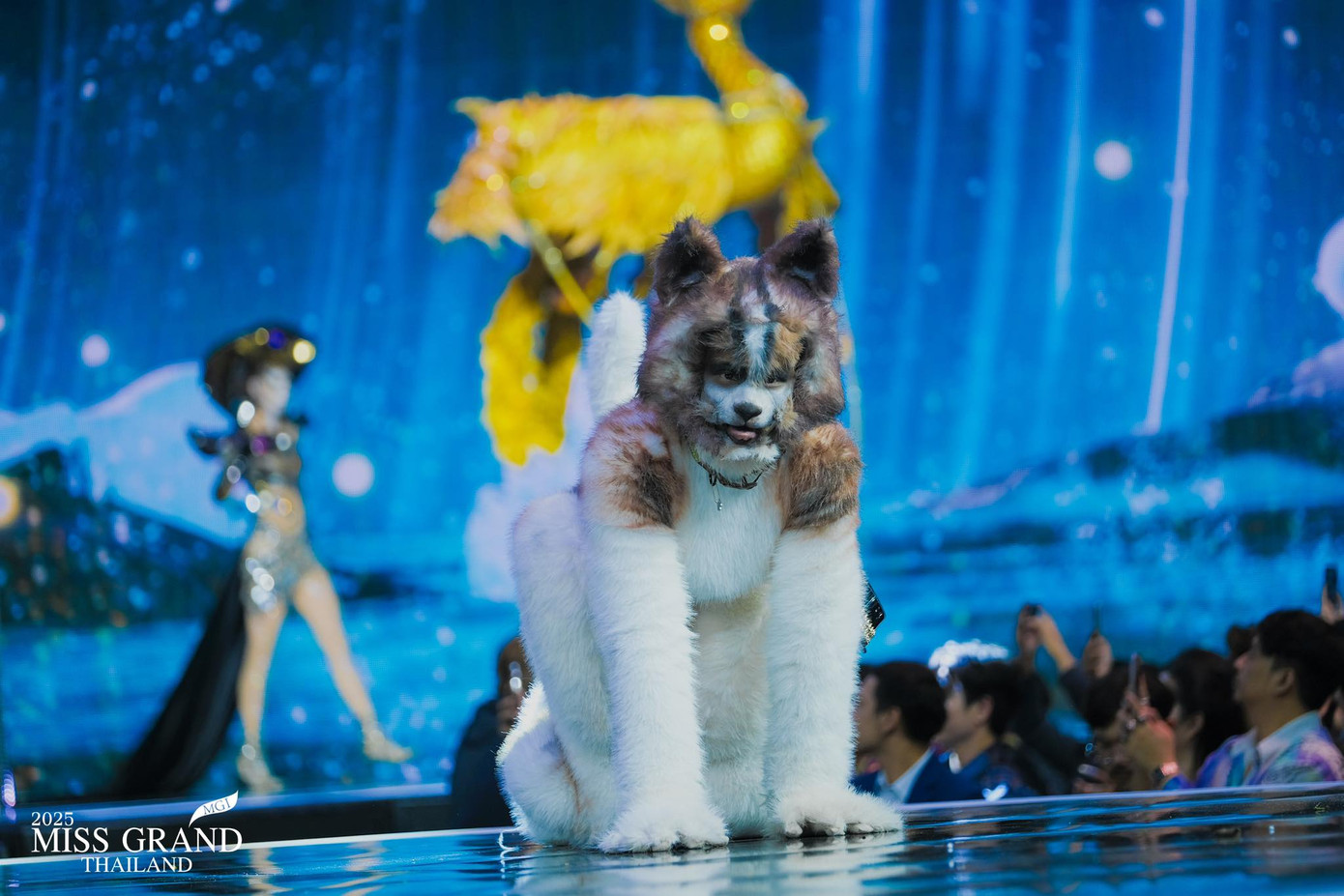 Đại diện thành phố Phitsanulok hóa thân thành chú chó trắng trên sân khấu. Người đẹp bò trườn, lăn lê ngay trên sân khấu để tái hiện hình ảnh chú chó một cách sinh động. Nhiều người thắc mắc về ý nghĩa của bộ trang phục. "Có nhiều loài động vật trong đêm diễn, nhưng thật khó để nghĩ rằng một chú chó đại diện cho trang phục của dân tộc", một tài khoản nêu ý kiến. Việc người đẹp bò, trườn thay vì catwalk cũng gây tranh cãi.
