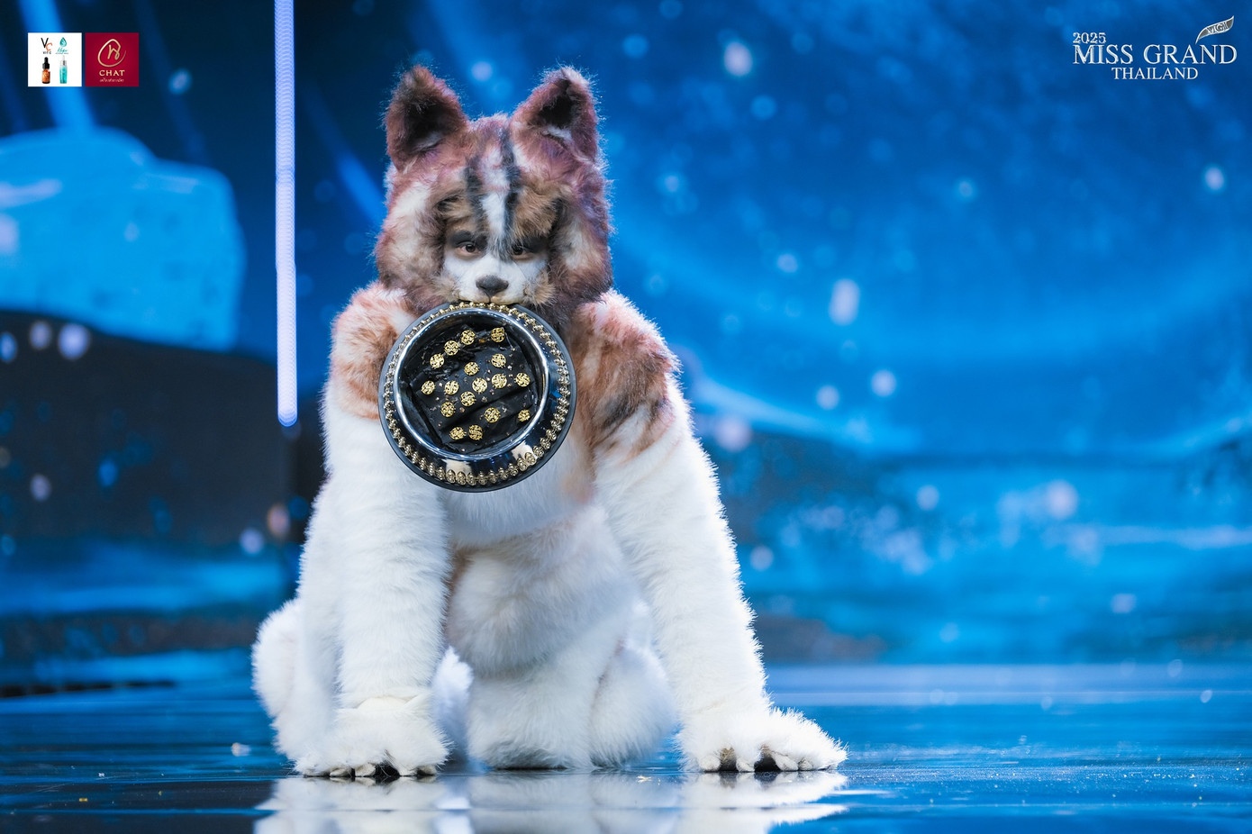 Đại diện thành phố Phitsanulok hóa thân thành chú chó trắng trên sân khấu. Người đẹp bò trườn, lăn lê ngay trên sân khấu để tái hiện hình ảnh chú chó một cách sinh động. Nhiều người thắc mắc về ý nghĩa của bộ trang phục. "Có nhiều loài động vật trong đêm diễn, nhưng thật khó để nghĩ rằng một chú chó đại diện cho trang phục của dân tộc", một tài khoản nêu ý kiến. Việc người đẹp bò, trườn thay vì catwalk cũng gây tranh cãi.