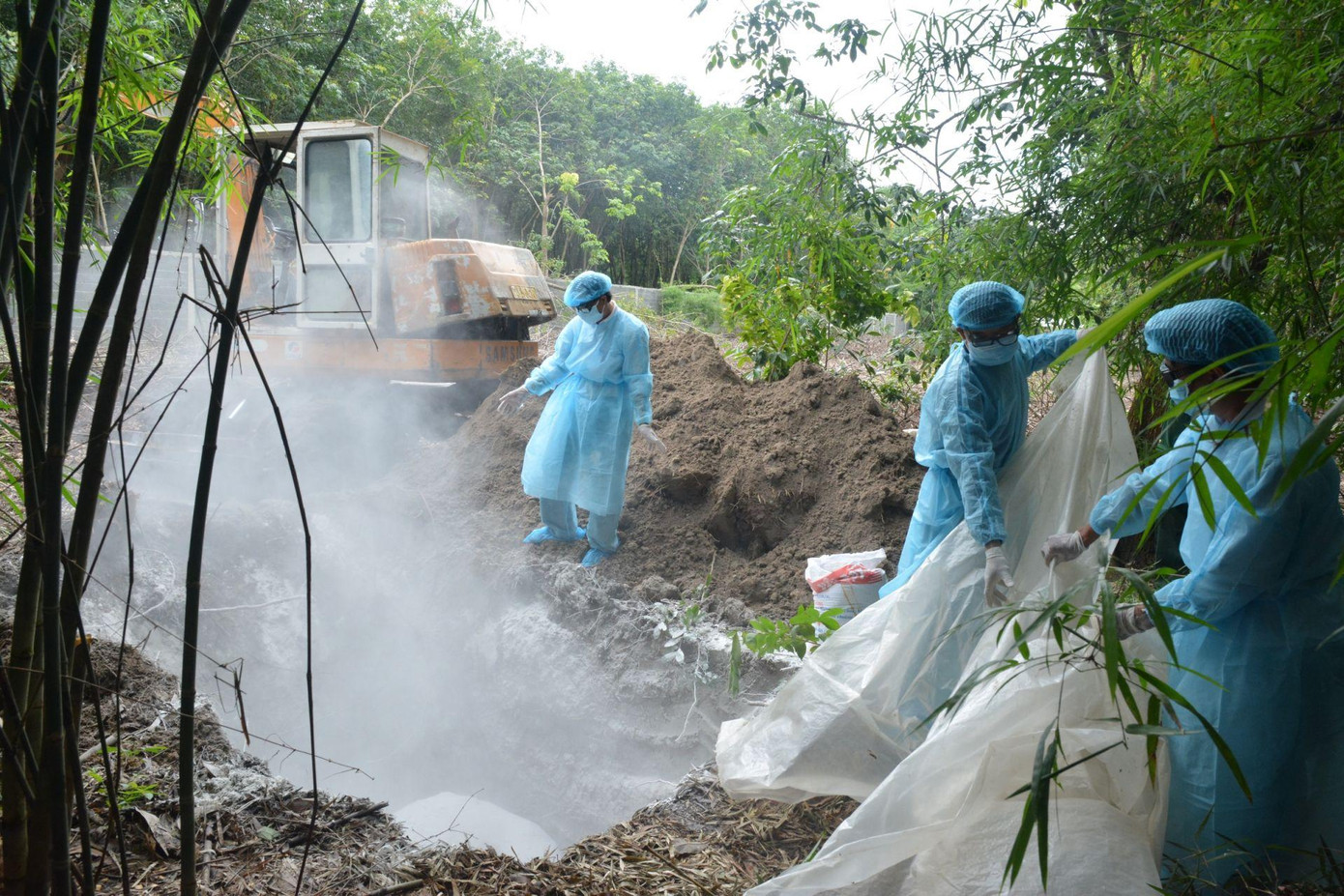 Thiêu hủy bò viêm da nổi cục ở Tây Ninh. Thiêu hủy bò viêm da nổi cục ở Tây Ninh.