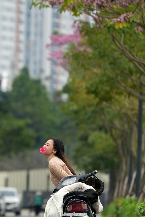 Một số bạn trẻ tranh thủ check-in vào thời điểm hoa đang nở rộ. Một số bạn trẻ tranh thủ check-in vào thời điểm hoa đang nở rộ.