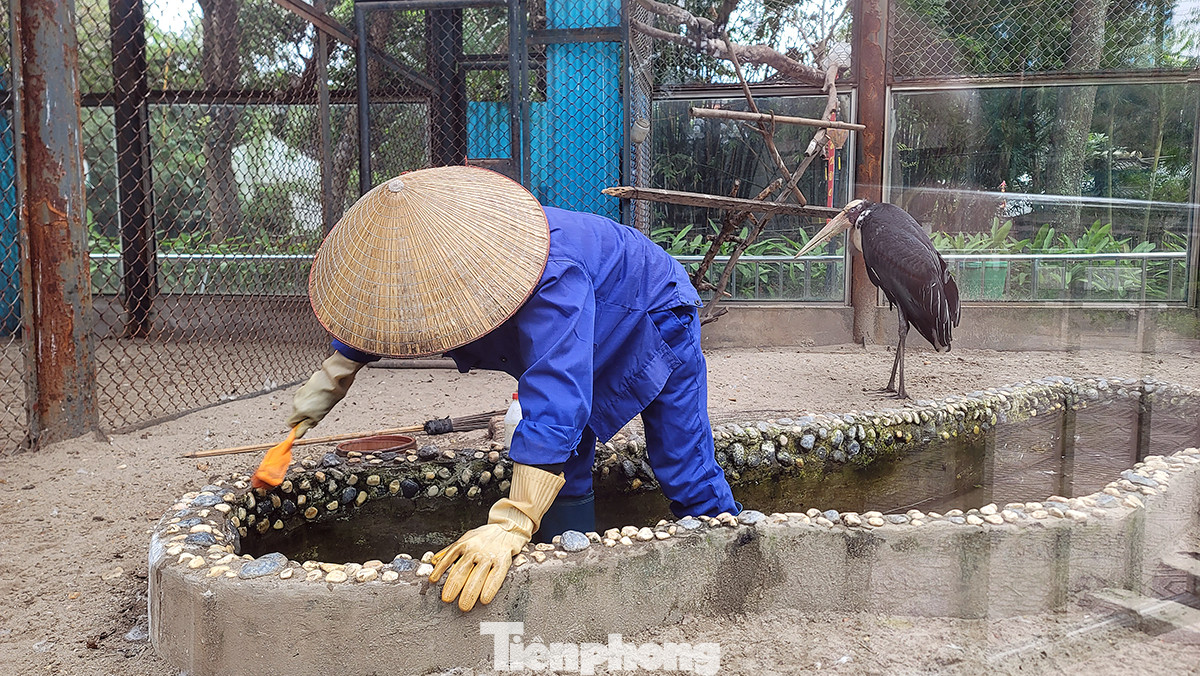 Công tác vệ sinh chuồng nuôi luôn được thực hiện hàng ngày để tránh ảnh hưởng đến sức khỏe của các loài động vật được nuôi tại vườn thú Hà Nội.