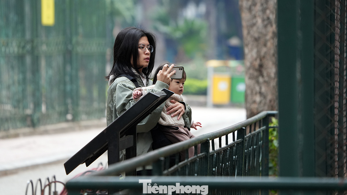 Dù thời tiết giá rét, nhưng vườn thú Hà Nội vẫn có khách ghé thăm và chụp hình.