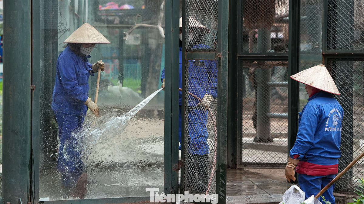Công tác vệ sinh chuồng nuôi luôn được thực hiện hàng ngày để tránh ảnh hưởng đến sức khỏe của các loài động vật được nuôi tại vườn thú Hà Nội.