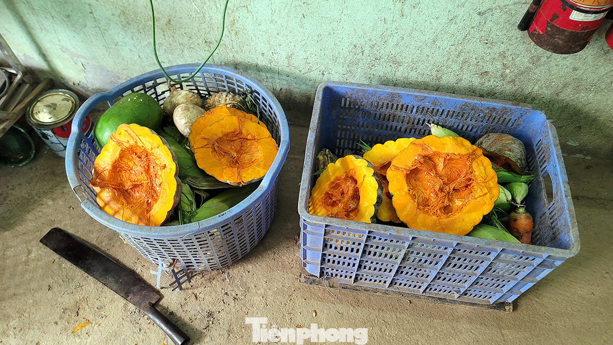 Thức ăn được bổ sung thường xuyên tránh hiện tượng thú nuôi bị đói, rét.