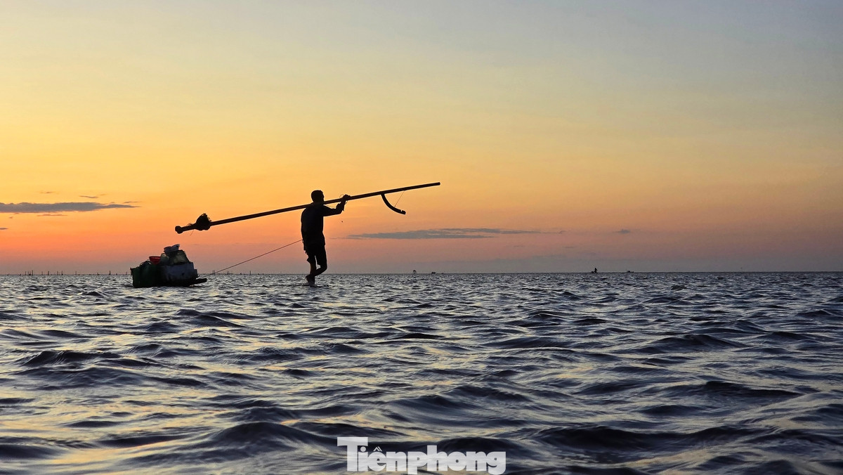 Thời điểm này cũng là thời gian mà người dân ở đây đi thu bắt hải sản như ngao, ốc móng tay...