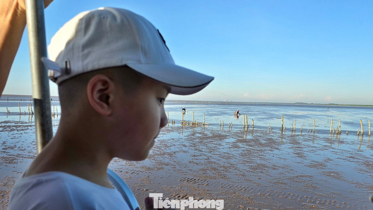 Nhiều bạn nhỏ cũng theo chân bố mẹ đi săn bình minh ở vùng 'biển vô cực' Quang Lang.