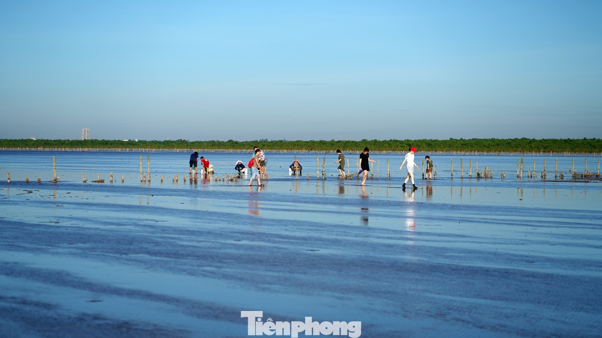 Nhiều người sau khi săn bình minh và trải nghiệm bắt hải sản cùng người dân địa phương đều có cảm nhận tốt về môi trường cũng như mong muốn được bảo vệ môi trường biển tốt hơn nữa để có những địa điểm đẹp như mơ giống 'biển vô cực' Thái Bình.