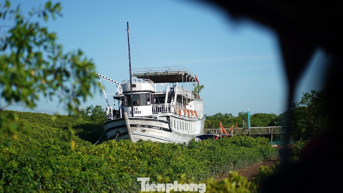 Tại đây có một số địa điểm có thể phục vụ ngủ qua đêm trên chiếc tàu gỗ với không gian cực chill với giá phòng chỉ khoảng 400.000 đồng/đêm cho 2 người hoặc 600.000 đồng cho 3 người.