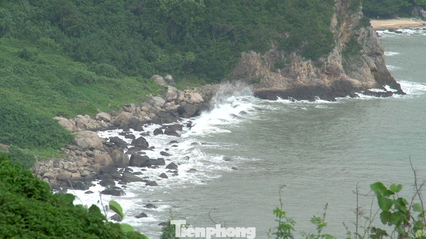 Chỉ cách trung tâm thành phố khoảng 10 km về phía Đông Bắc, du lịch bán đảo Sơn Trà hấp dẫn du khách bởi những bãi biển lớn nhỏ tuyệt đẹp, rừng cây rợp bóng và hệ sinh thái rừng tự nhiên đa dạng, phong phú.
