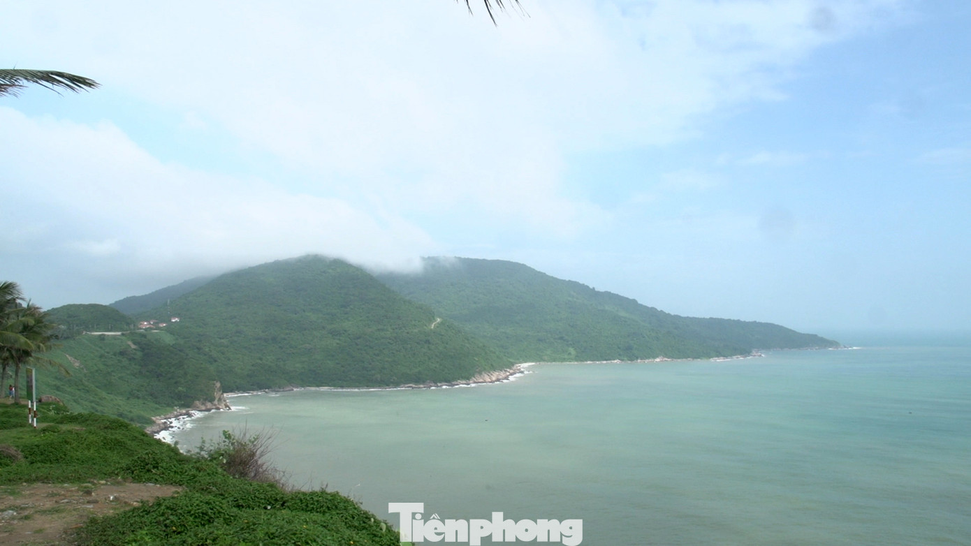 Bán đảo Sơn Trà nằm ở phía Đông Bắc thành phố Đà Nẵng, được ví như “kho báu" thiên nhiên, lá phổi xanh của thành phố.