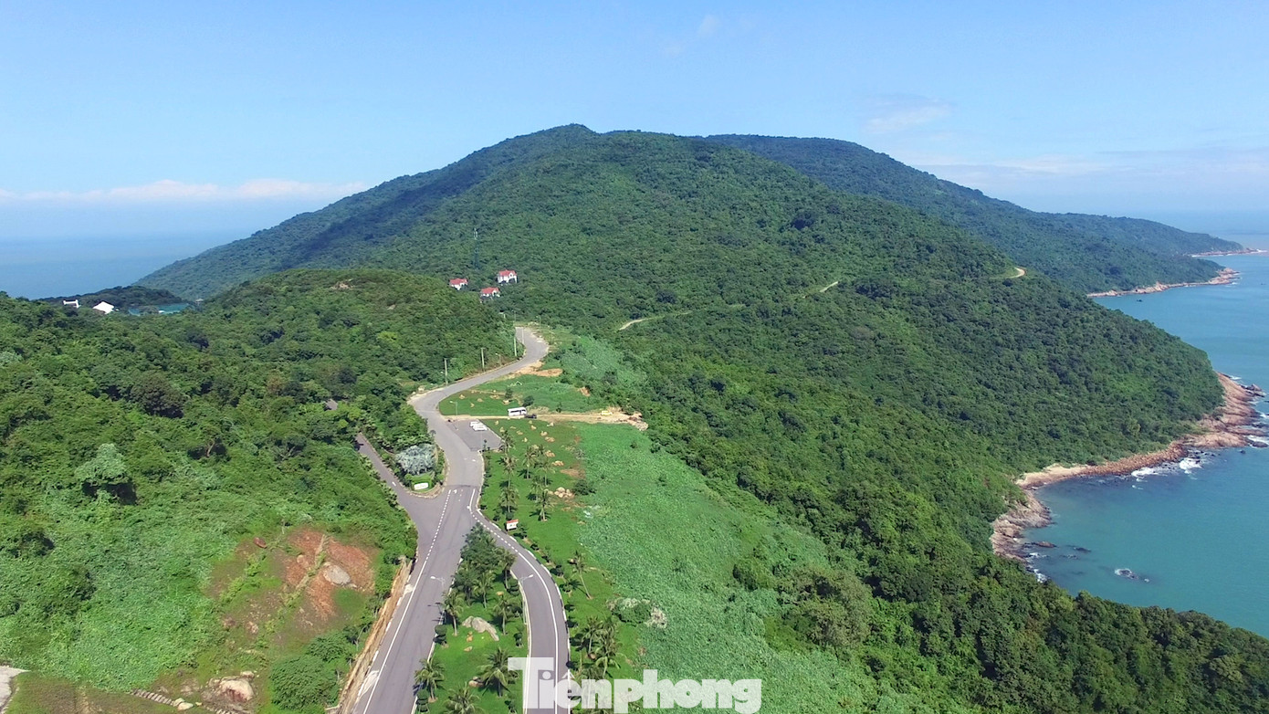 Du lịch bán đảo Sơn Trà có sức hấp dẫn lớn, nơi đây có hệ sinh thái động thực vật đa dạng, chứa đựng nhiều “câu chuyện” chưa được kể hết.