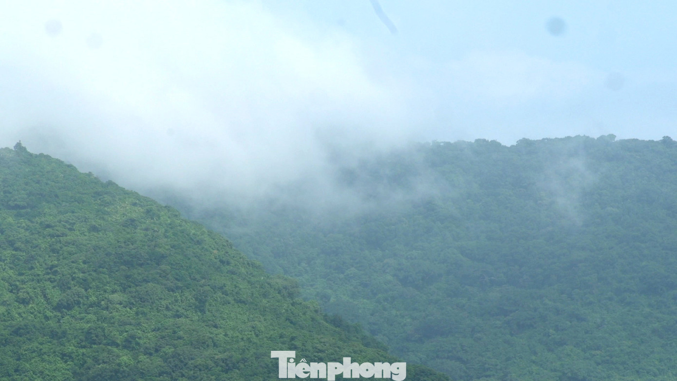 Được mệnh danh là viên ngọc quý của thành phố Đà Nẵng, bản đồ bán đảo Sơn Trà thuộc phường Thọ Quang (quận Sơn Trà, TP Đà Nẵng) 3 mặt giáp với biển, mặt còn lại giáp đô thị.