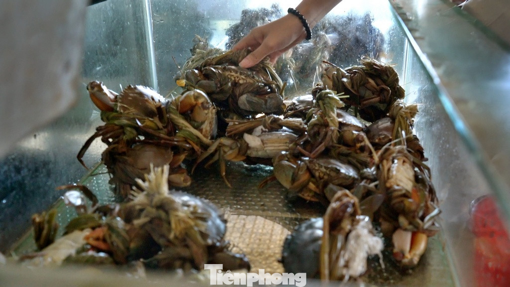 Ẩm thực tại đây cũng là một điểm nhấn đáng chú ý. Chính nhờ thủy văn thuận lợi mà đầm nước lợ này đã sinh ra nghề khai thác và nuôi hàu sữa nổi tiếng. Hàu được nuôi bằng một phương thức khá đặc biệt: Nuôi cấy trên chính những chiếc lốp xe cũ và buộc vào sào tre. Dọc con đường chạy quanh co bên đầm là những sạp bán hàu sữa và nhiều loại thủy sản khác còn tươi sống được đánh bắt ngay tại khu vực đầm Lập An.